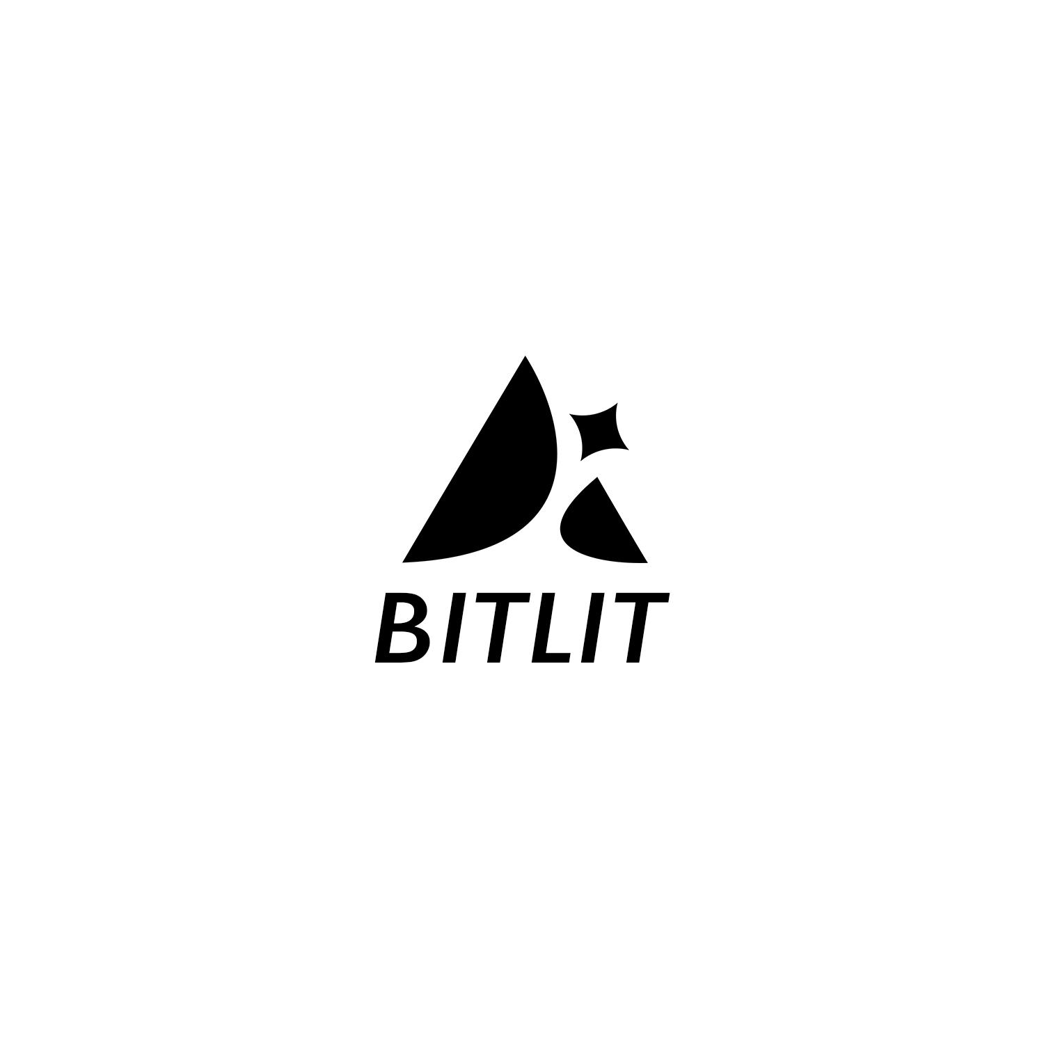 bitlit Project