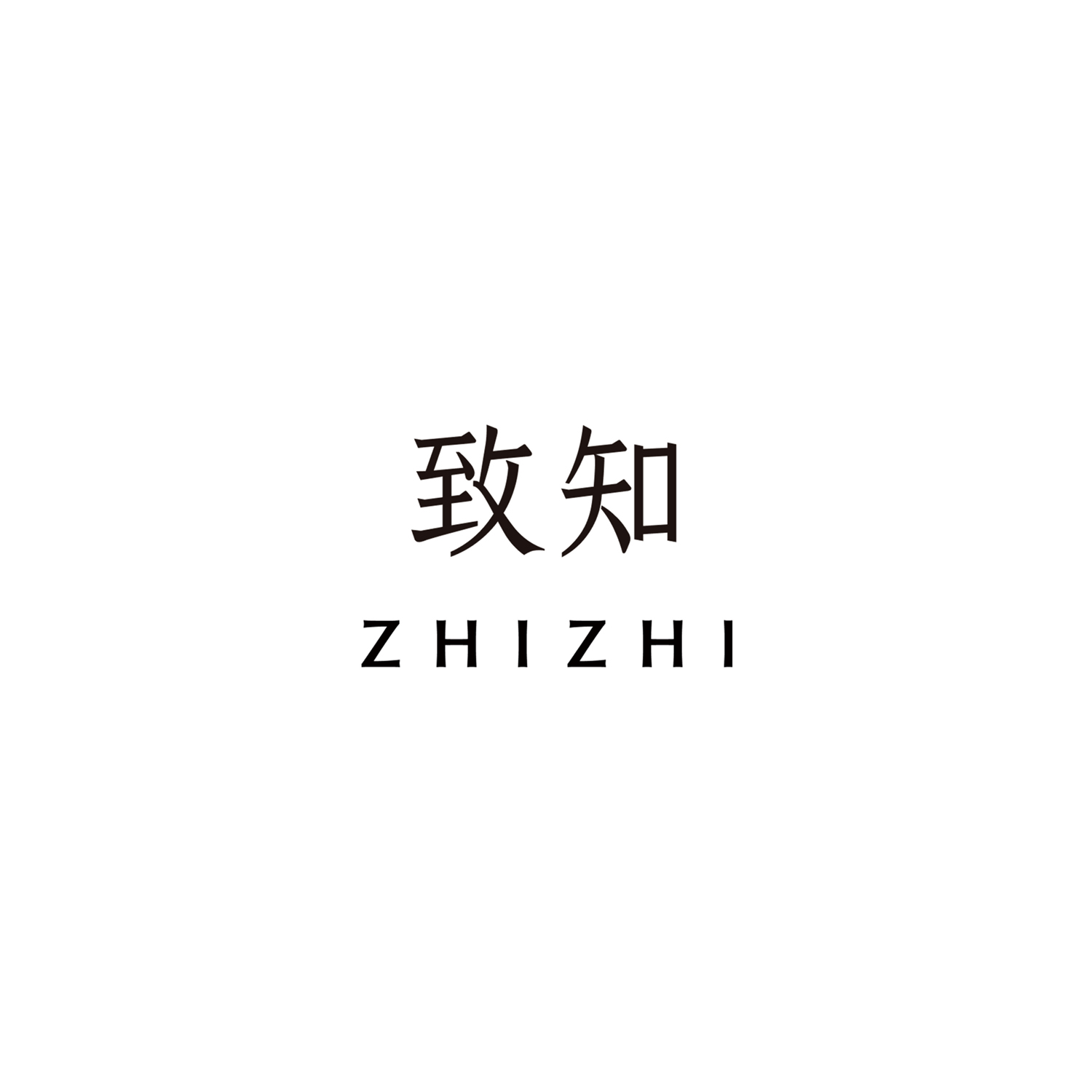 ZHIZHI Project